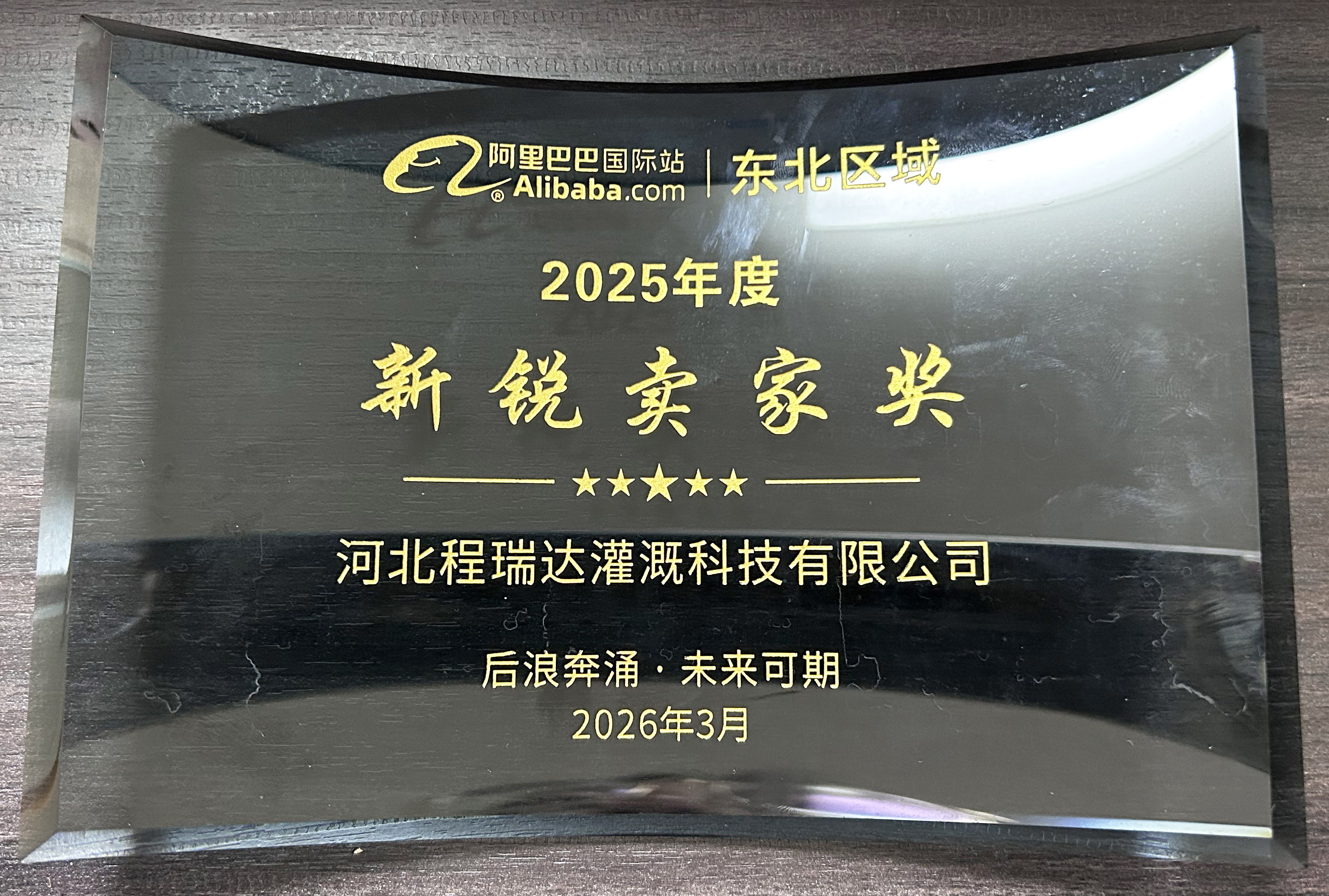 三亚程瑞达灌溉 | 荣获阿里国际站新锐卖家奖